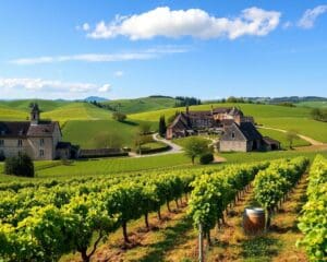 Entdecken Sie die Weinregionen der Welt mit genuss7.de