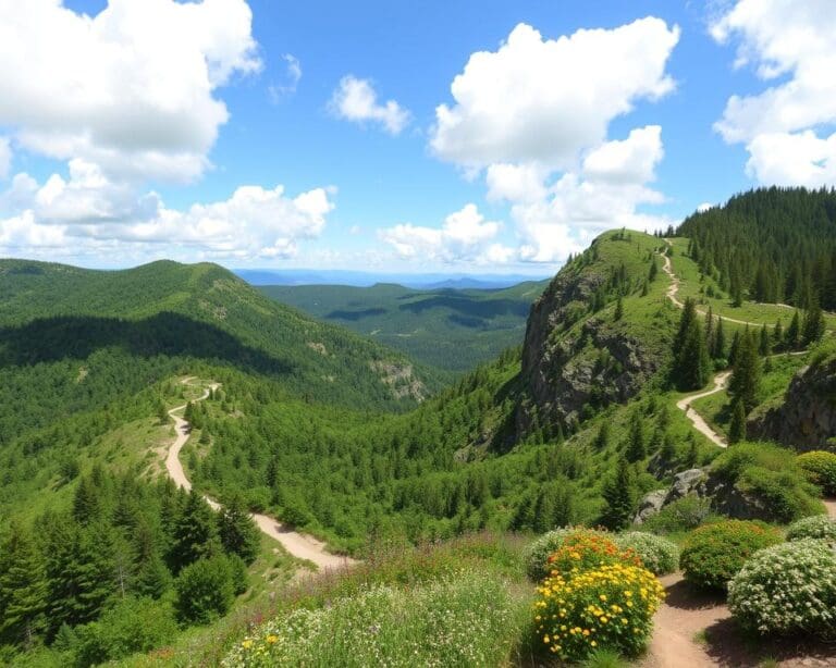 Wanderrouten für Anfänger und Fortgeschrittene