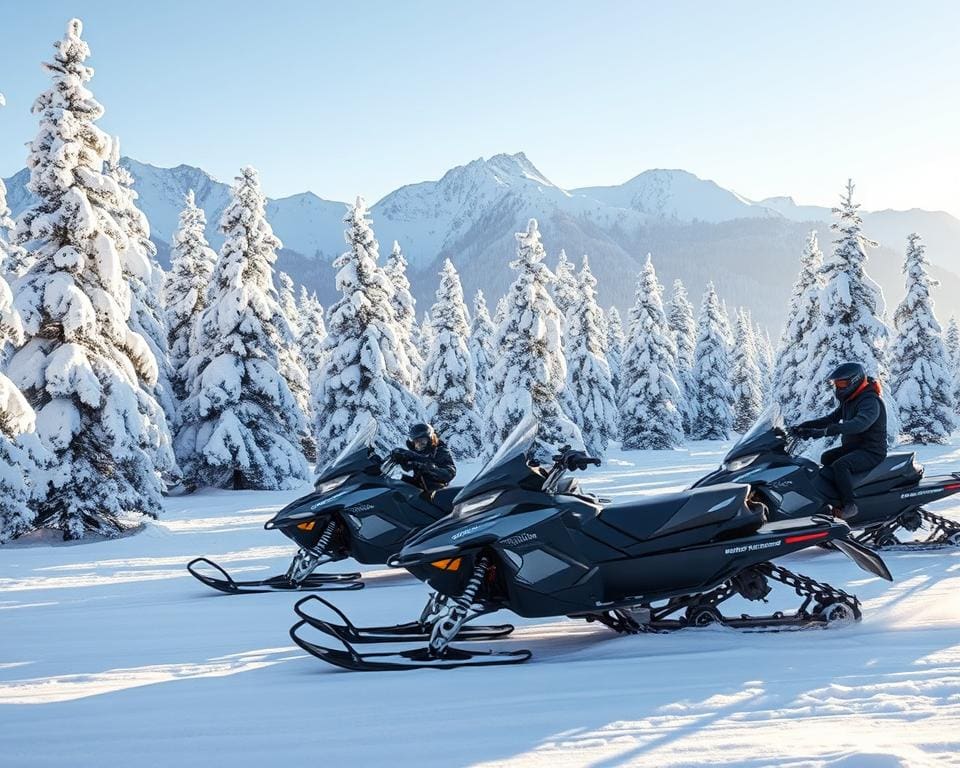 Elektrische Schneemobile: Nachhaltigkeit im Wintertourismus