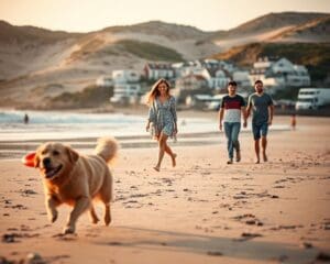 Welche Regionen bieten Urlaub mit Hund am Meer?
