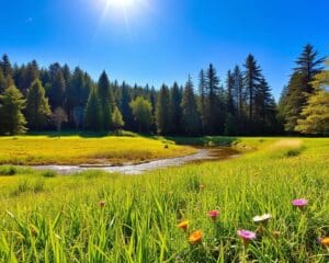 Warum ist frische Luft gut für die Gesundheit?