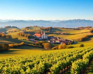 Welche Regionen eignen sich für Weinreisen in Europa?