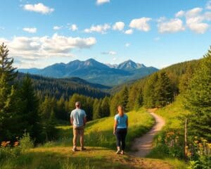 Warum zieht der Schwarzwald Naturliebhaber an?
